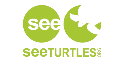 See Turtles See Turtles