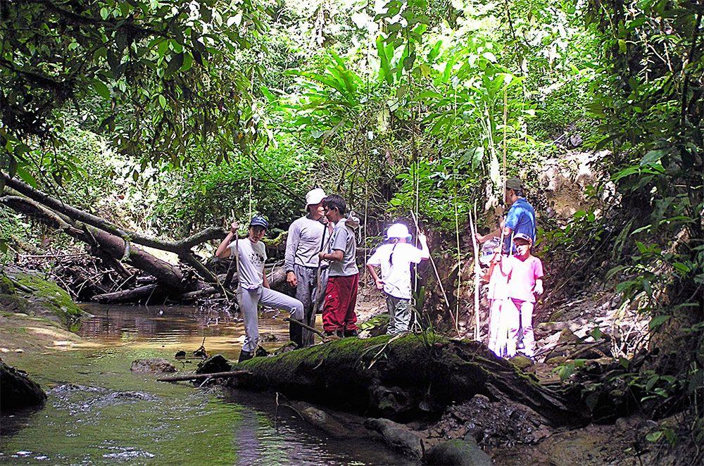 Slide image